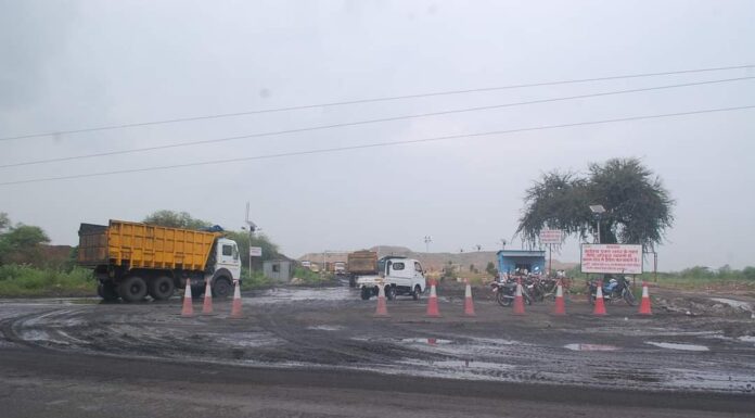 बरांजची दशा, निप्पॉन डेन्ड्रोची दिशा व अरविंदोला सतर्कता