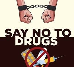 *भद्रावती शहरात आरोपीच्या घरून गांजा जप्त*