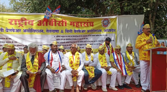 ओबीसींच्या मागण्या पूर्ण करून ओबीसींचा सन्मान करावा : डॉ. अशोक जीवतोडे