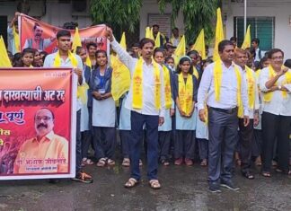 ओबीसी विद्यार्थ्यांचा जल्लोष; फडणविसांचे आभार : डॉ. अशोक जीवतोडे