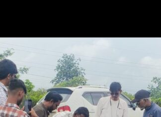 *मोकाट जनावरांना लावली सेफ्टी रिफ्लेटर बेल्ट*