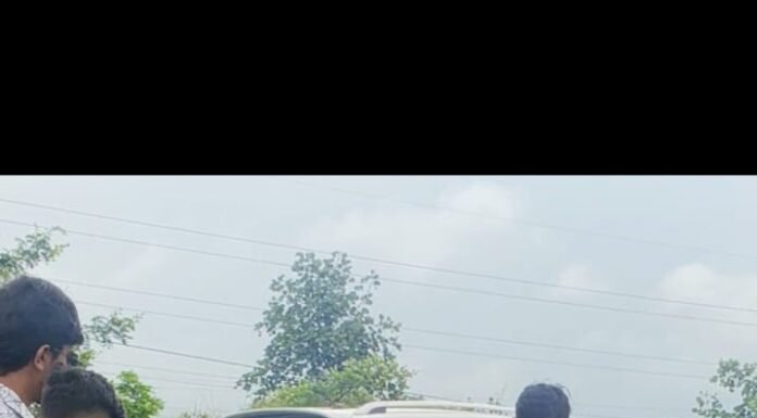 *मोकाट जनावरांना लावली सेफ्टी रिफ्लेटर बेल्ट*