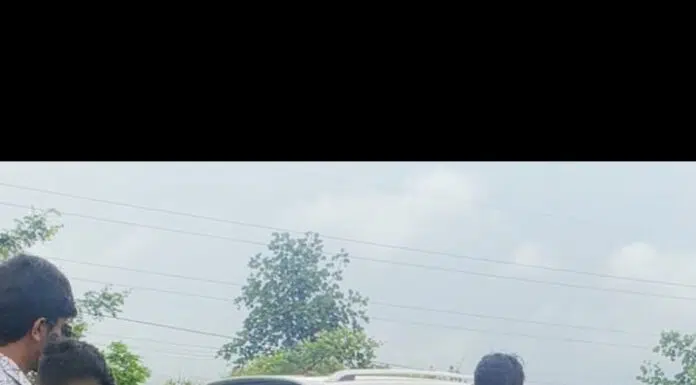 *मोकाट जनावरांना लावली सेफ्टी रिफ्लेटर बेल्ट*